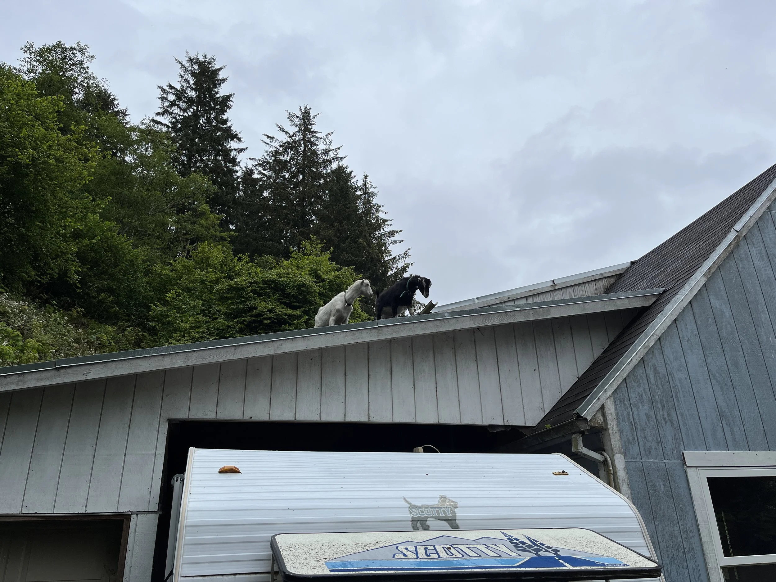 7/1/22 - Master Bath Wall