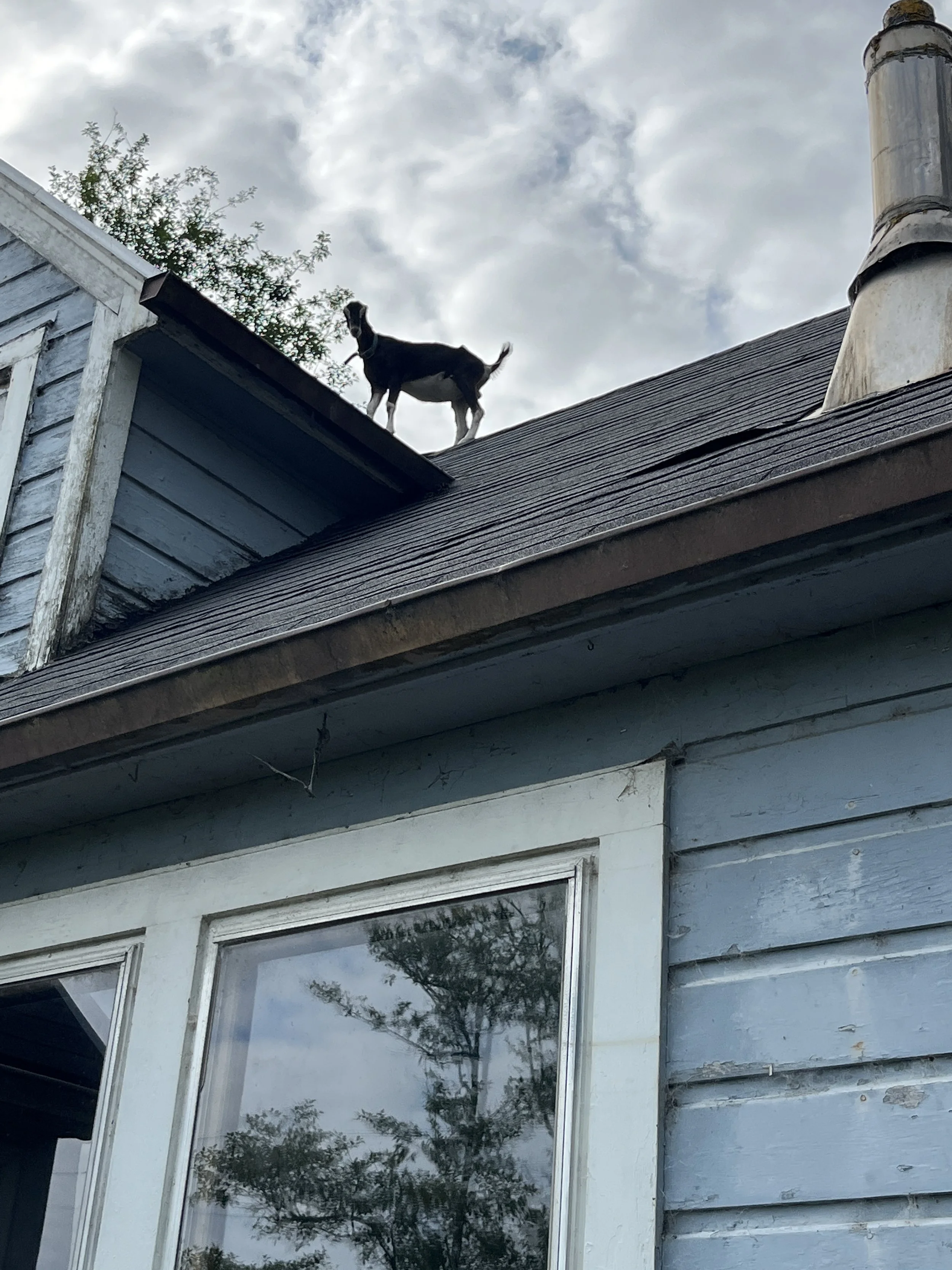 8/6/22 - The Electrician Cometh