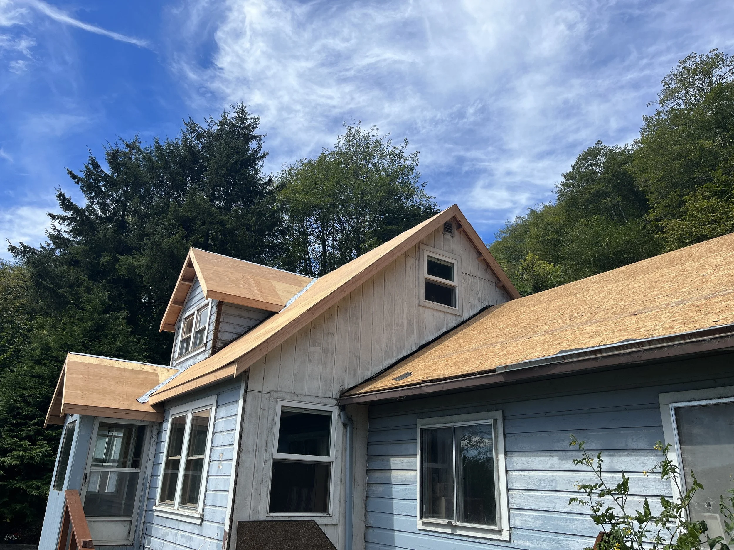 9/3/22 - Roof 3 of 4