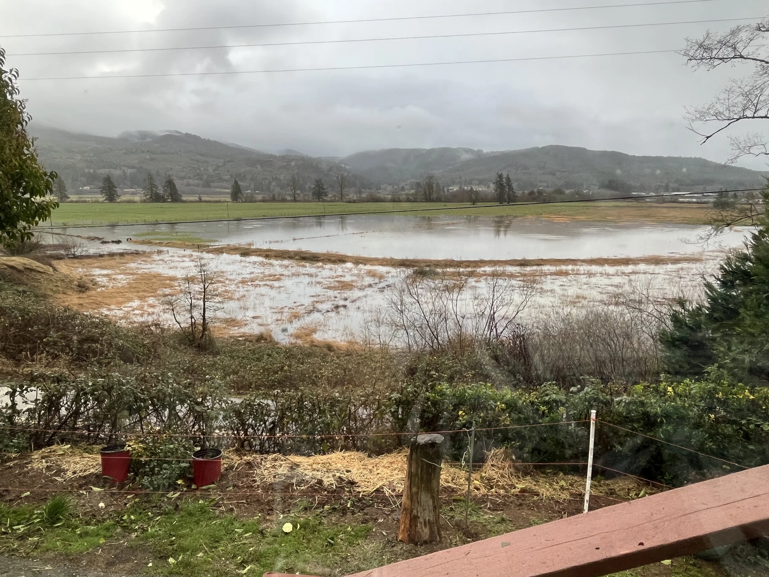 12/28/22 - “Christmas Storm 2022”