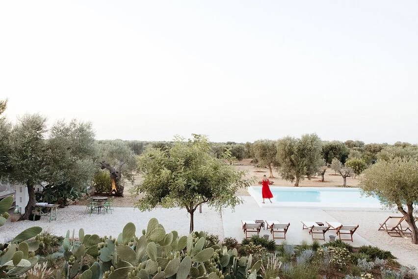 muted green soft tones of an olive grove and vineyard with a luxurious pool of a boutique hotel
