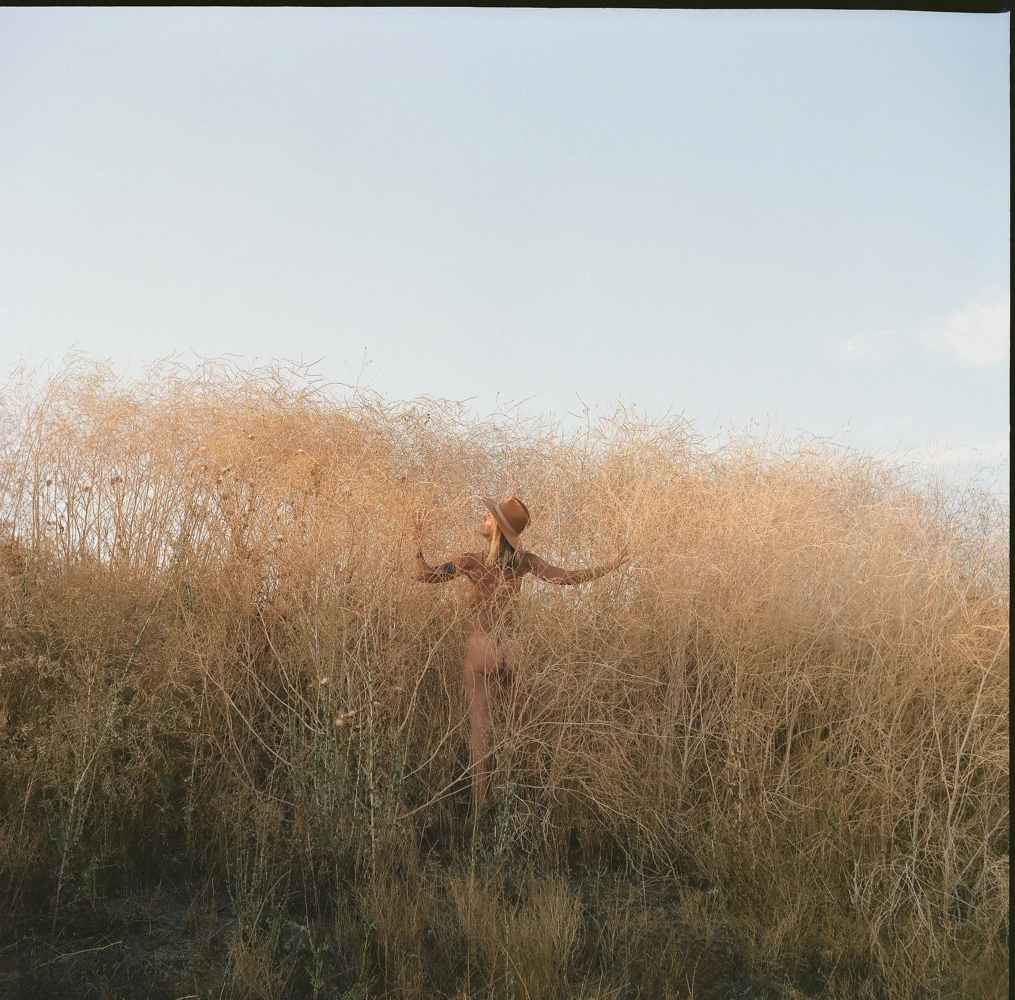 Person wearing a hat standing in a field of tall, dry grass under a clear sky.