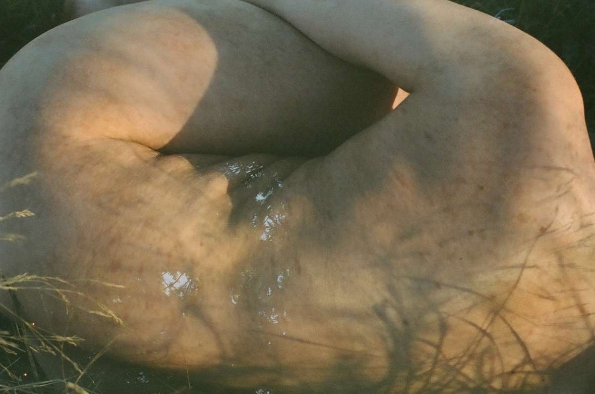 Close-up of an elephant taking a mud bath