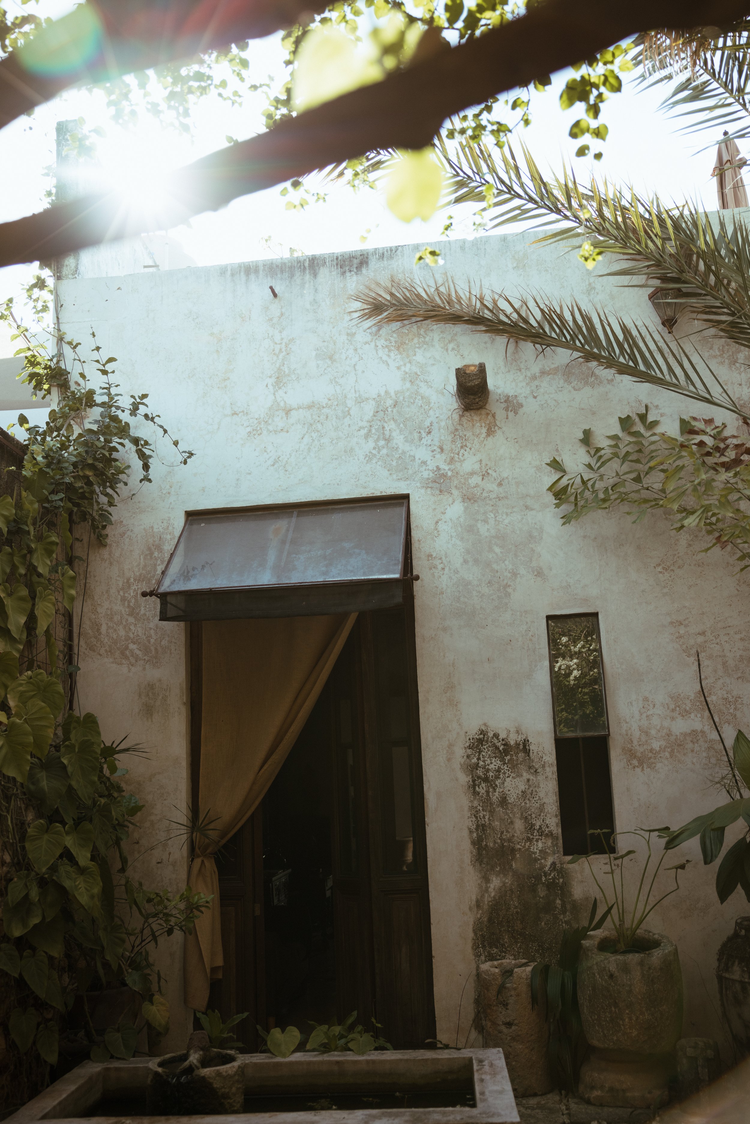 modern architecture of an elegant Airbnb with a burst of sun through foliage presenting an air of calm and intrigue 
