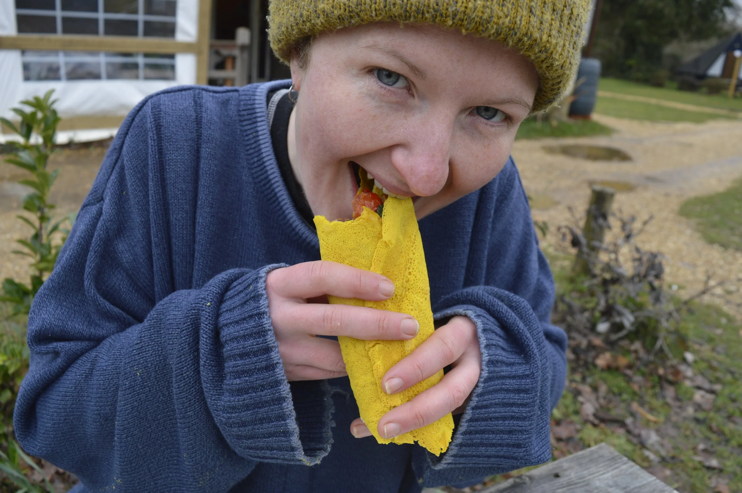 What is Healing Nutrition?