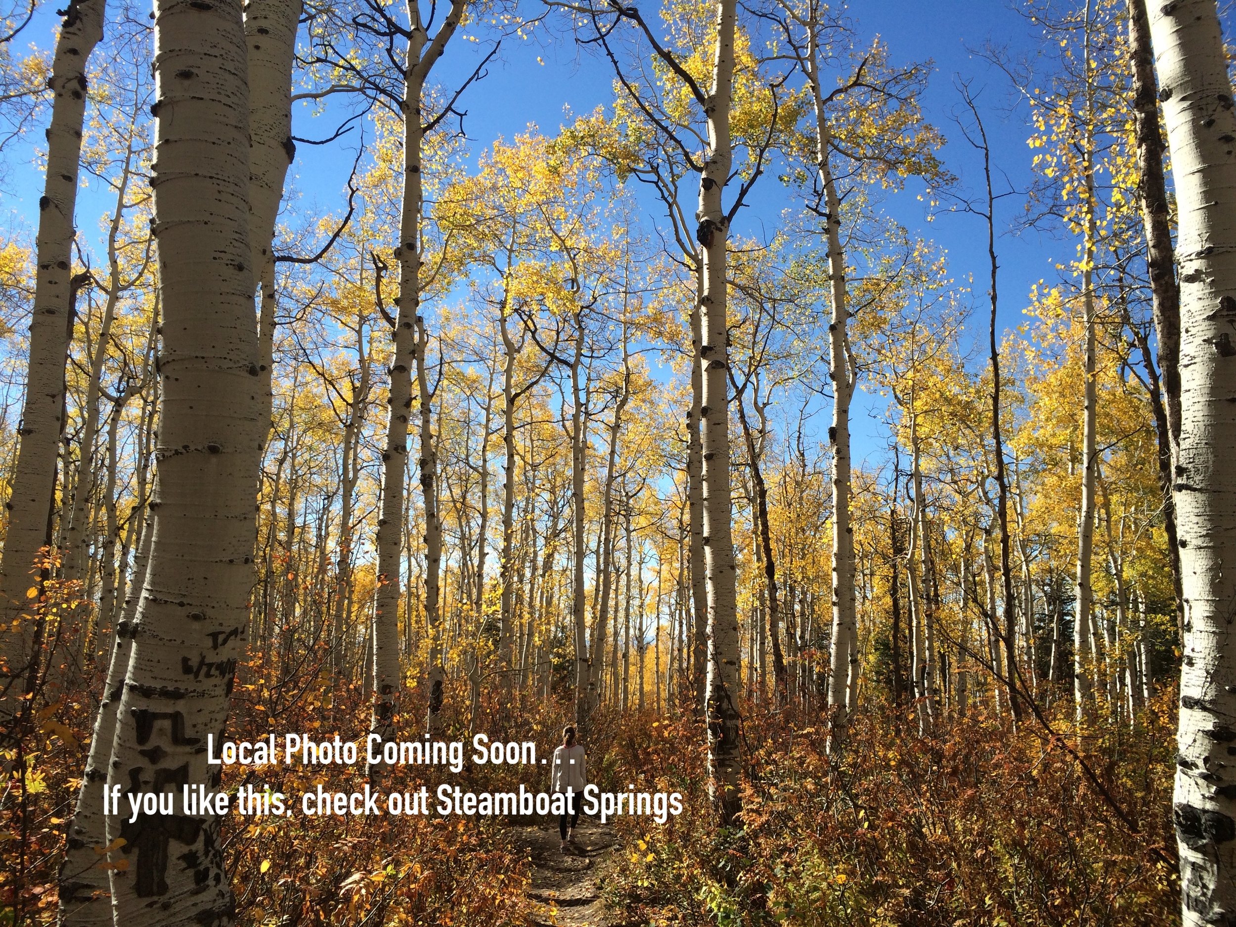 Denver - South Park Hill