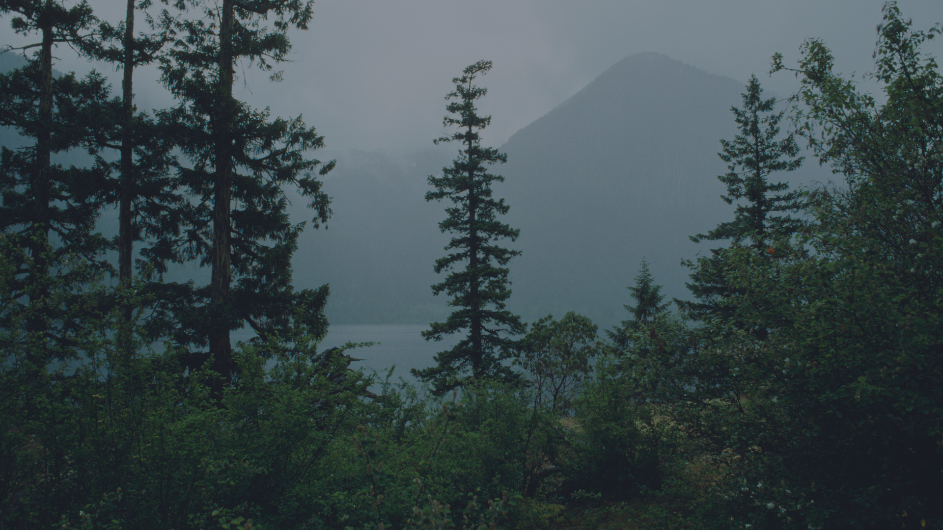 What Psychedelic Integration Looks Like in Real Life