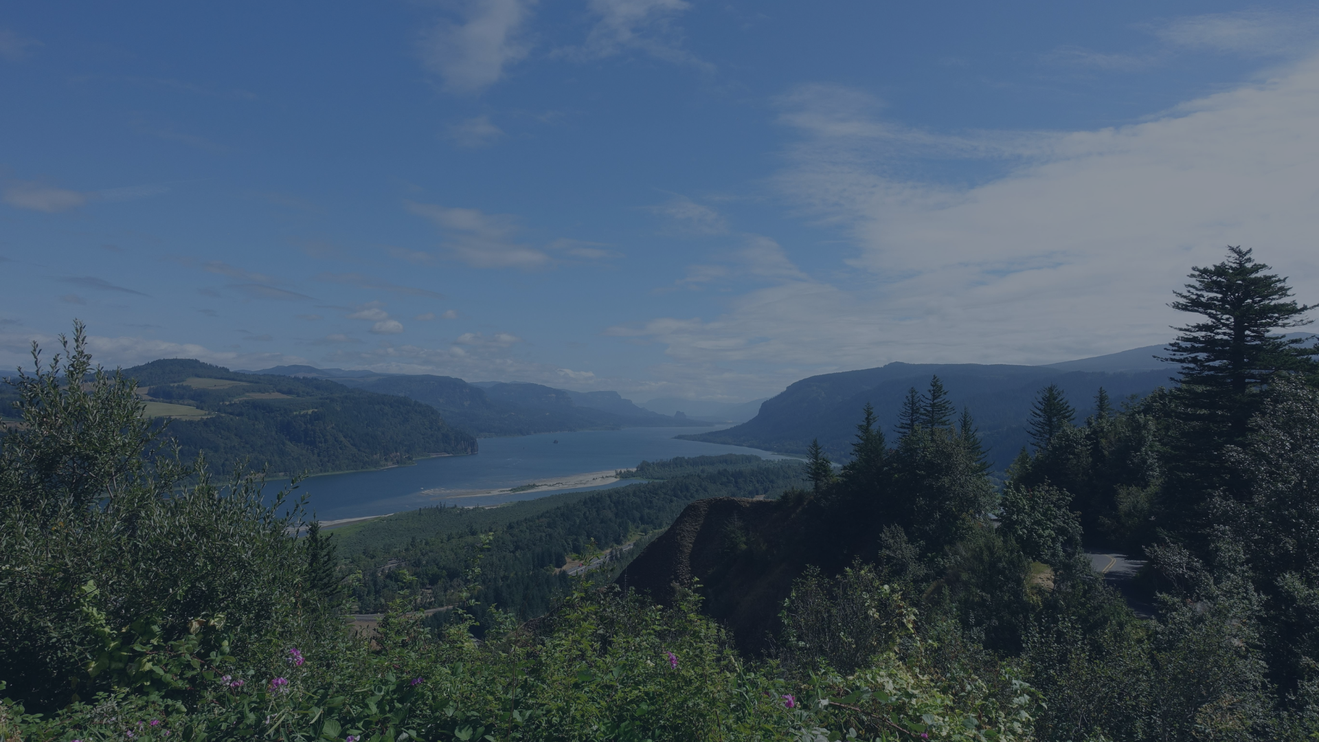 How to Know If You Are Ready for Another Psychedelic Journey