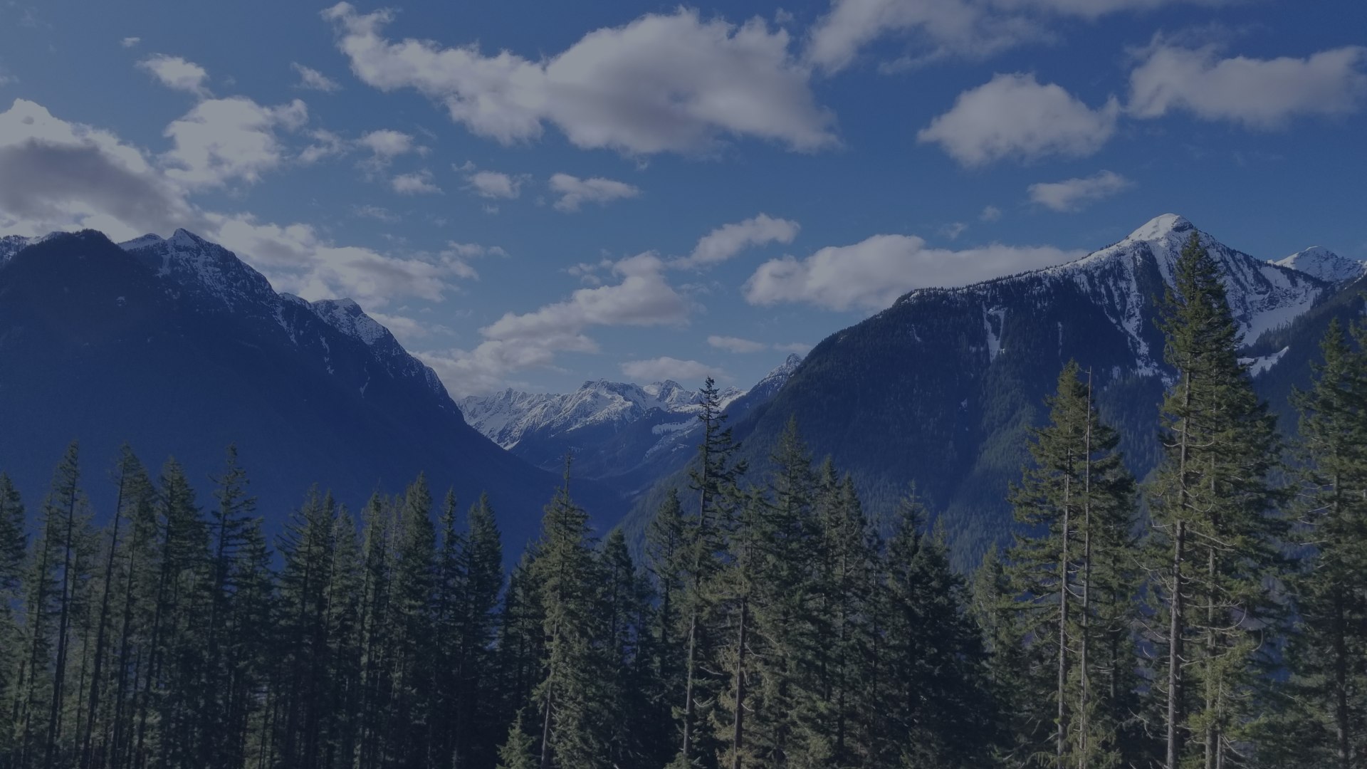 How to Prepare for a Psychedelic Experience | Legacy Journeys — Legacy ...