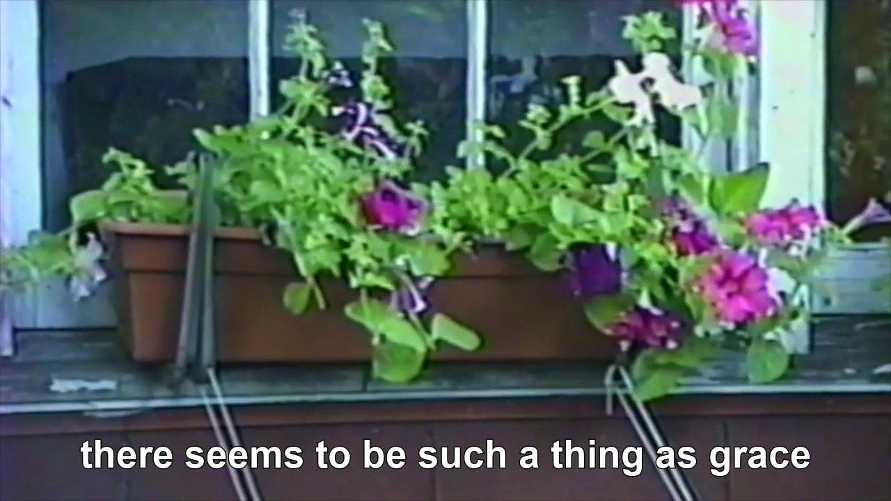 Toni Morrison Still 3.jpeg