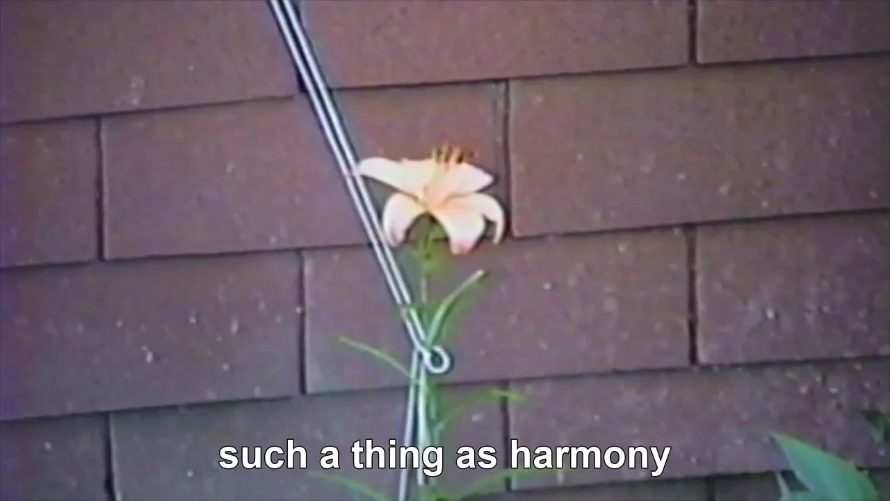 Toni Morrison Still 4.jpeg