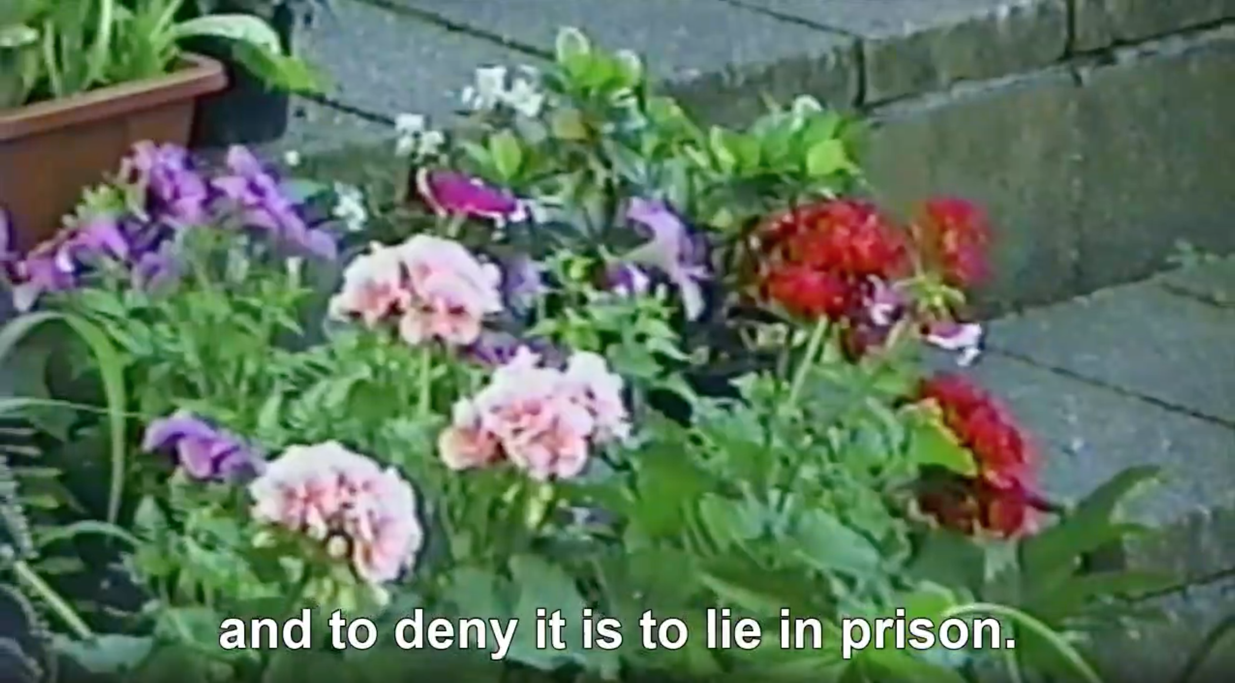 Screen Shot 2022-10-05 at 5.32.29 PM.png