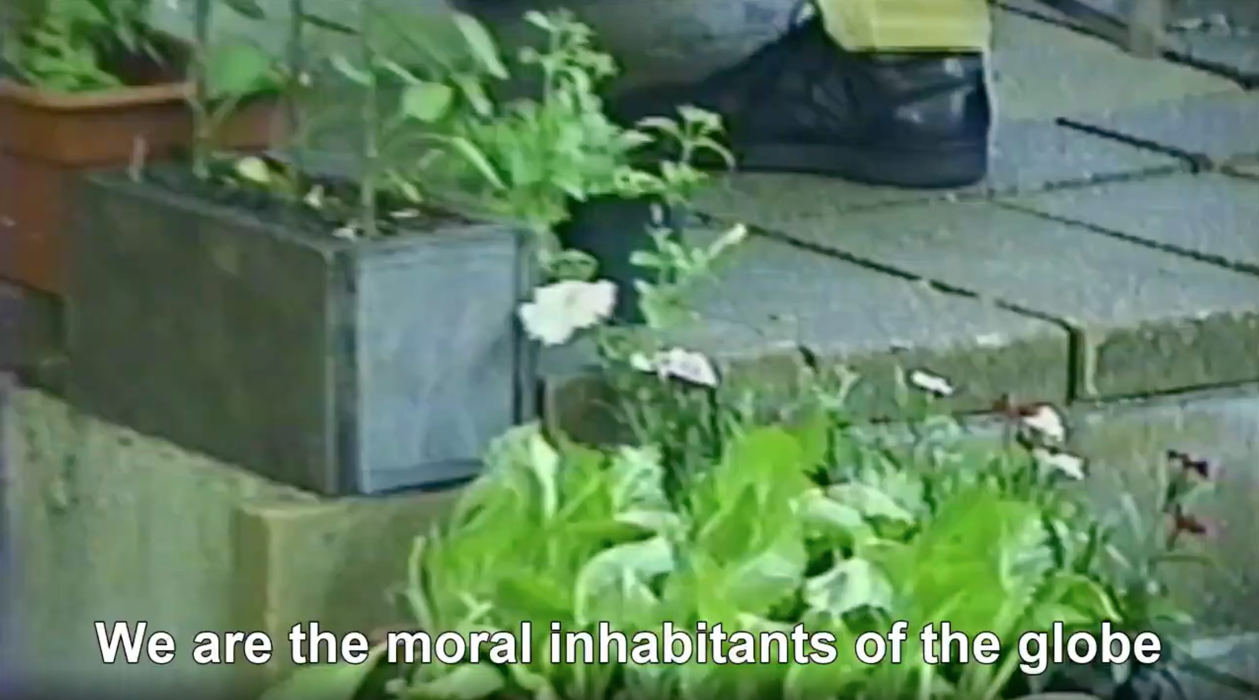 Screen Shot 2022-10-05 at 5.31.55 PM.png