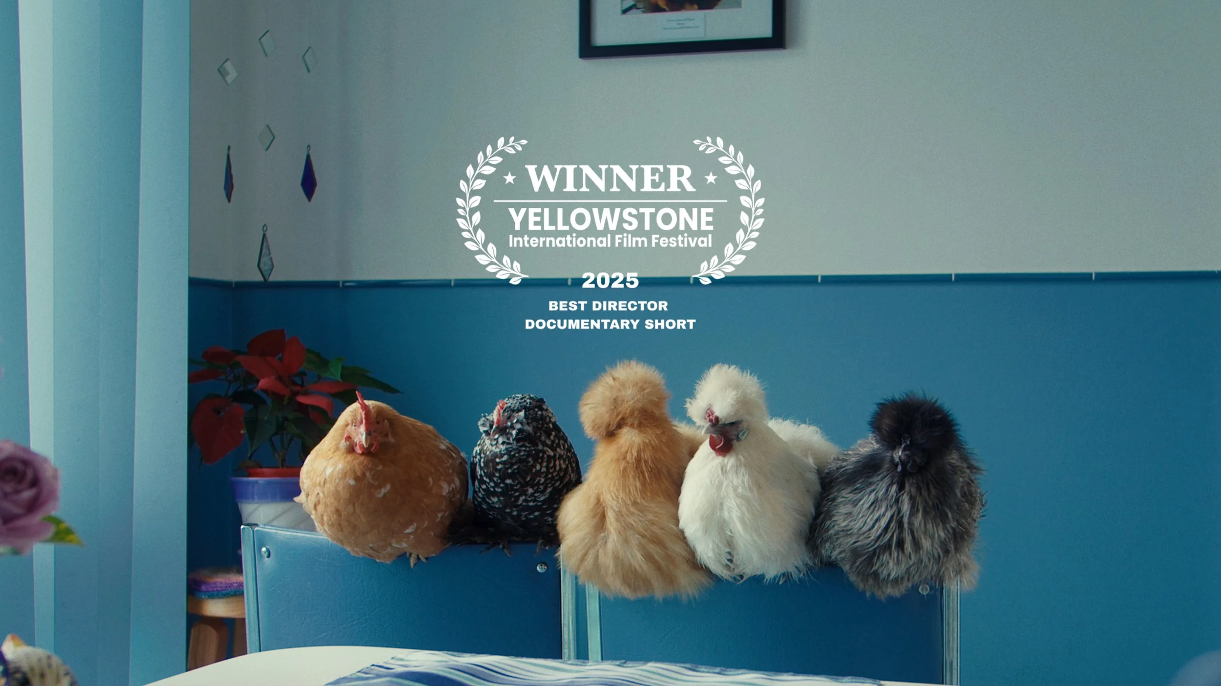 Mother &amp; Son Duo Win Best Director’s Award at Yellowstone FF.