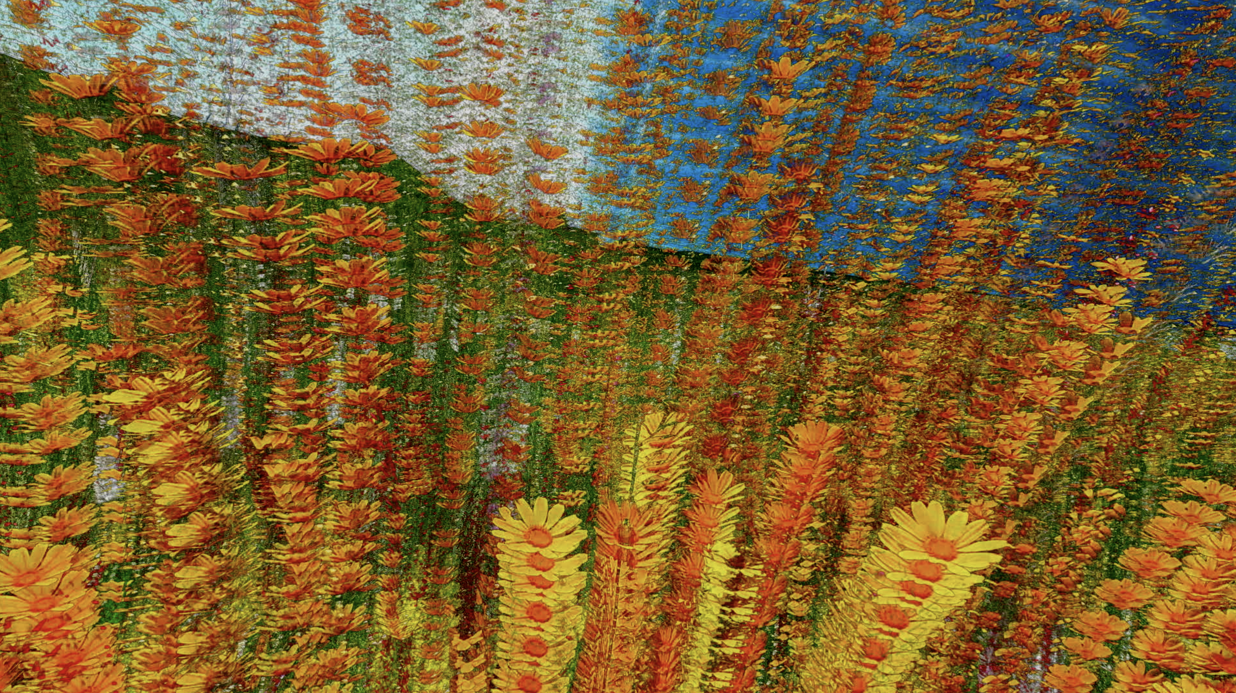 Screenshot 2025-12-18 at 11.16.52 AM.png