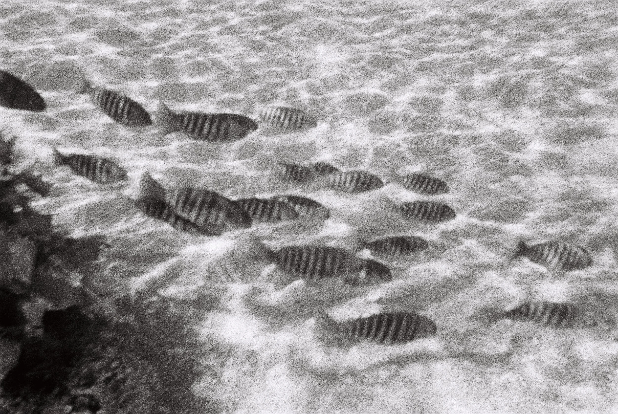 TrejoRaquel_FirstSwimms-12.jpg