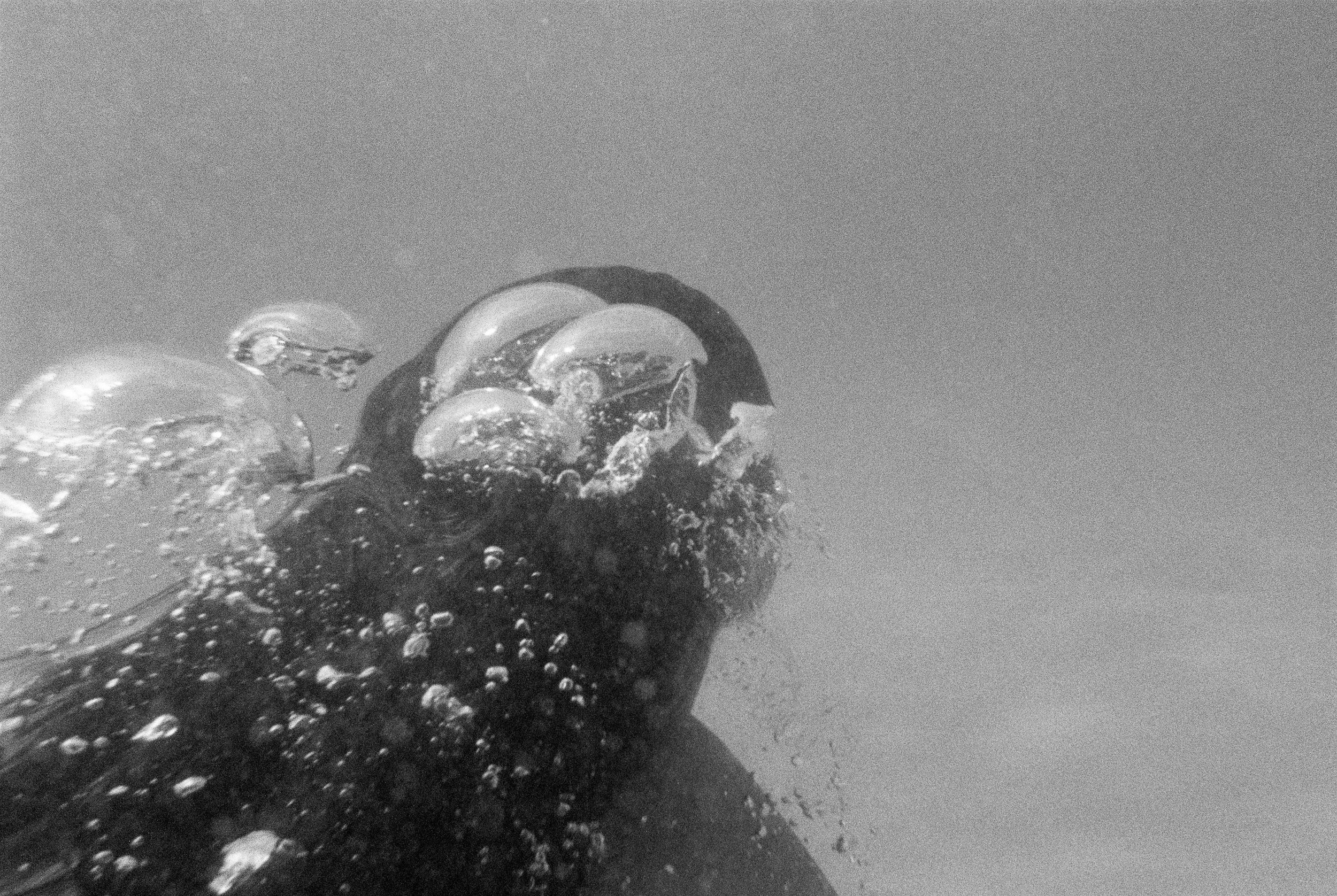 TrejoRaquel_FirstSwimms-16.jpg