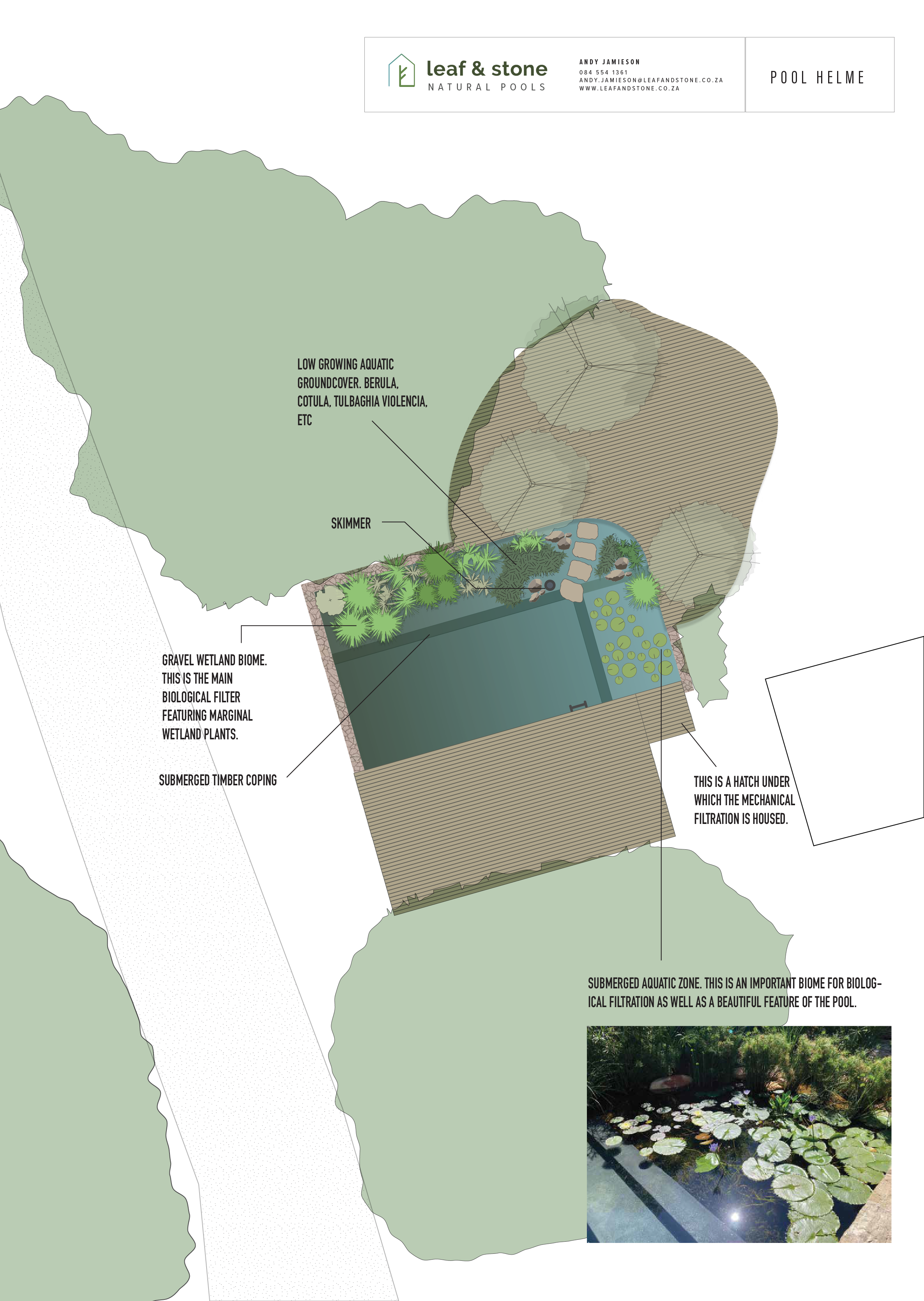 Nick Helme - Pool concept Design.png