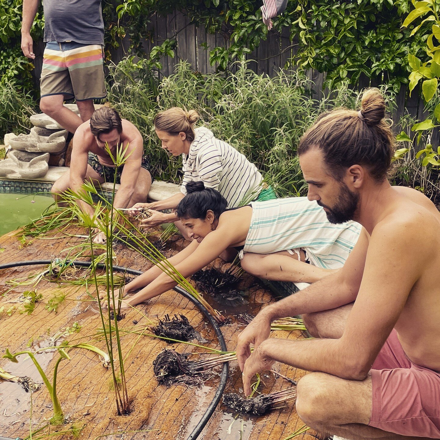 Last weekend we hosted our very first DIY Floating Wetland Natural Pool Workshop for 15 bright and eager participants. Needless to say, it was a roaring success! Not many things afford you the opportunity to have a pool party and learn something at t