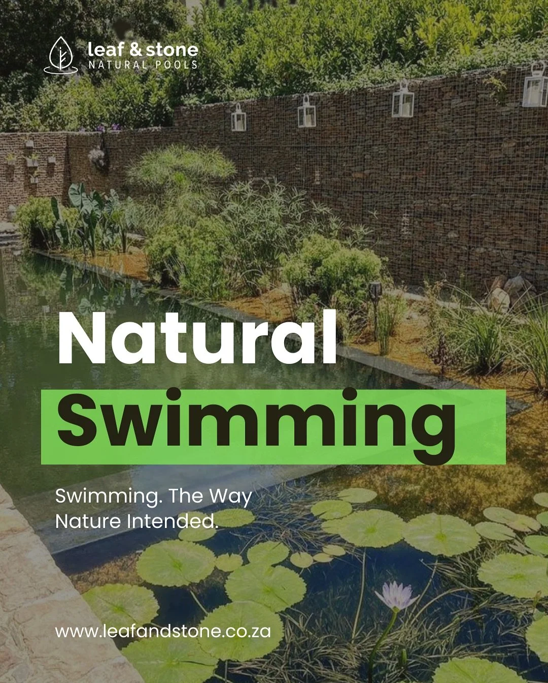 Eight years ago, Leaf and Stone began right here in Cape Town, building and transforming swimming pools into natural, chemical-free spaces.

That hands-on journey &mdash; designing and installing natural pools and conversions &mdash; eventually led m
