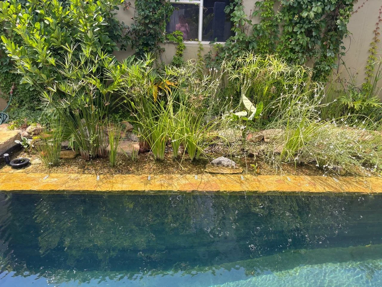 WhatsApp Image 2026-02-05 at 14.04.04.jpeg