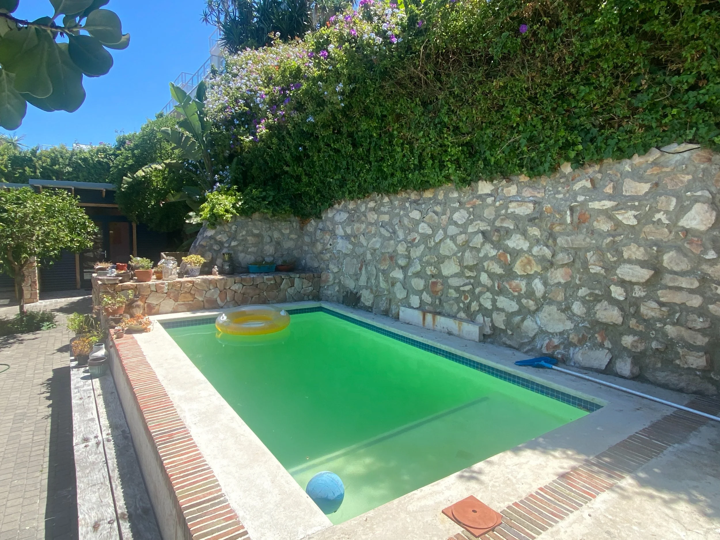 Robin Pollard - pool - 1.jpeg
