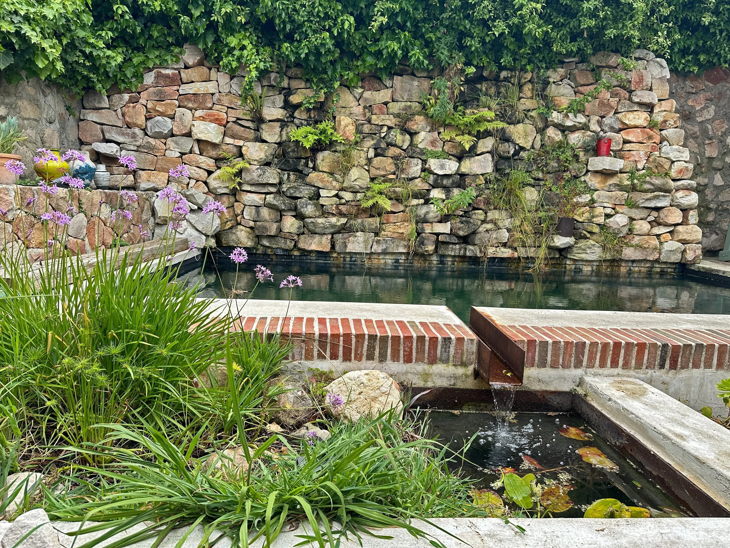 Robin Pollard - pool - 8.jpeg