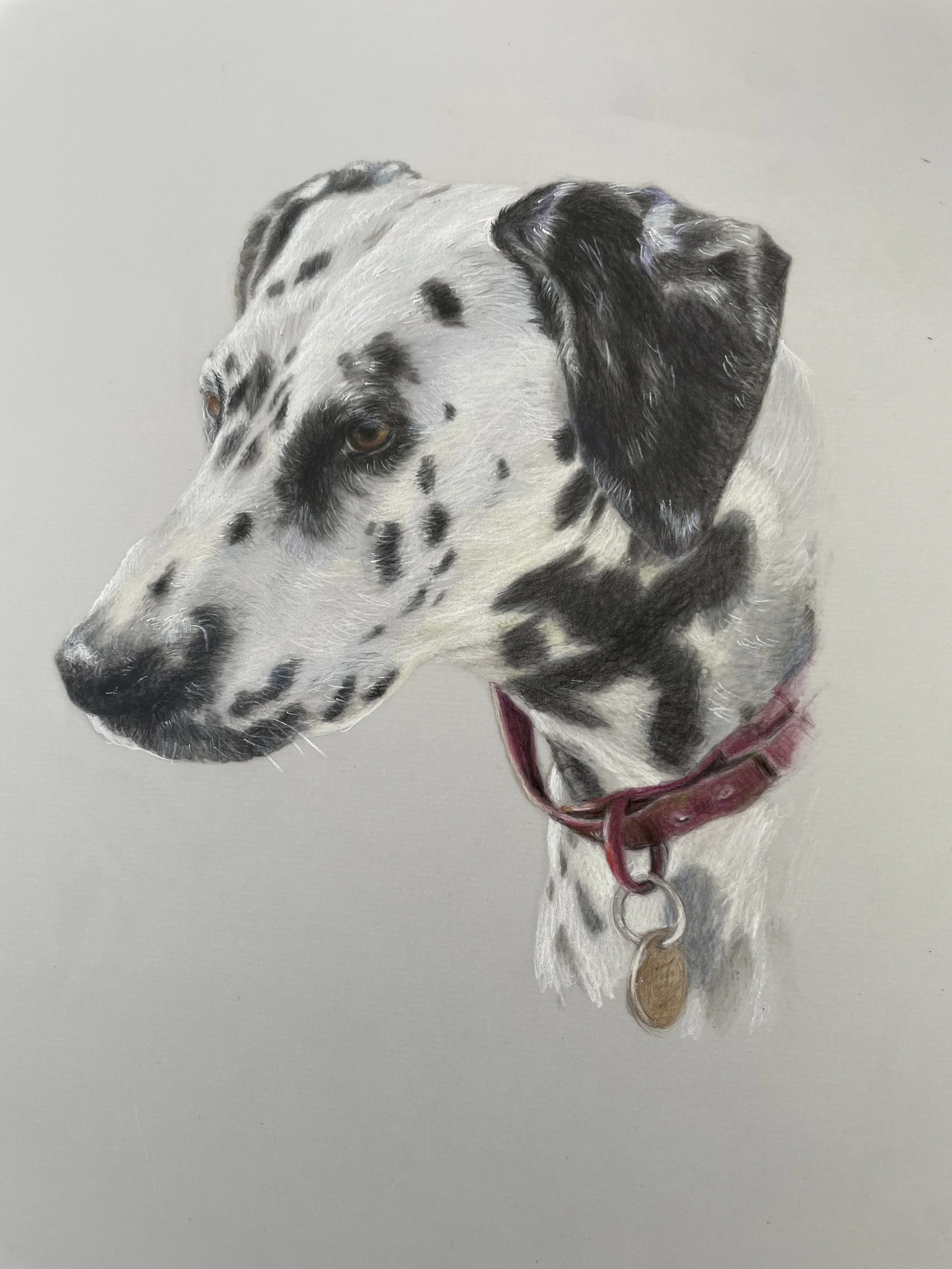 nicola-pennill