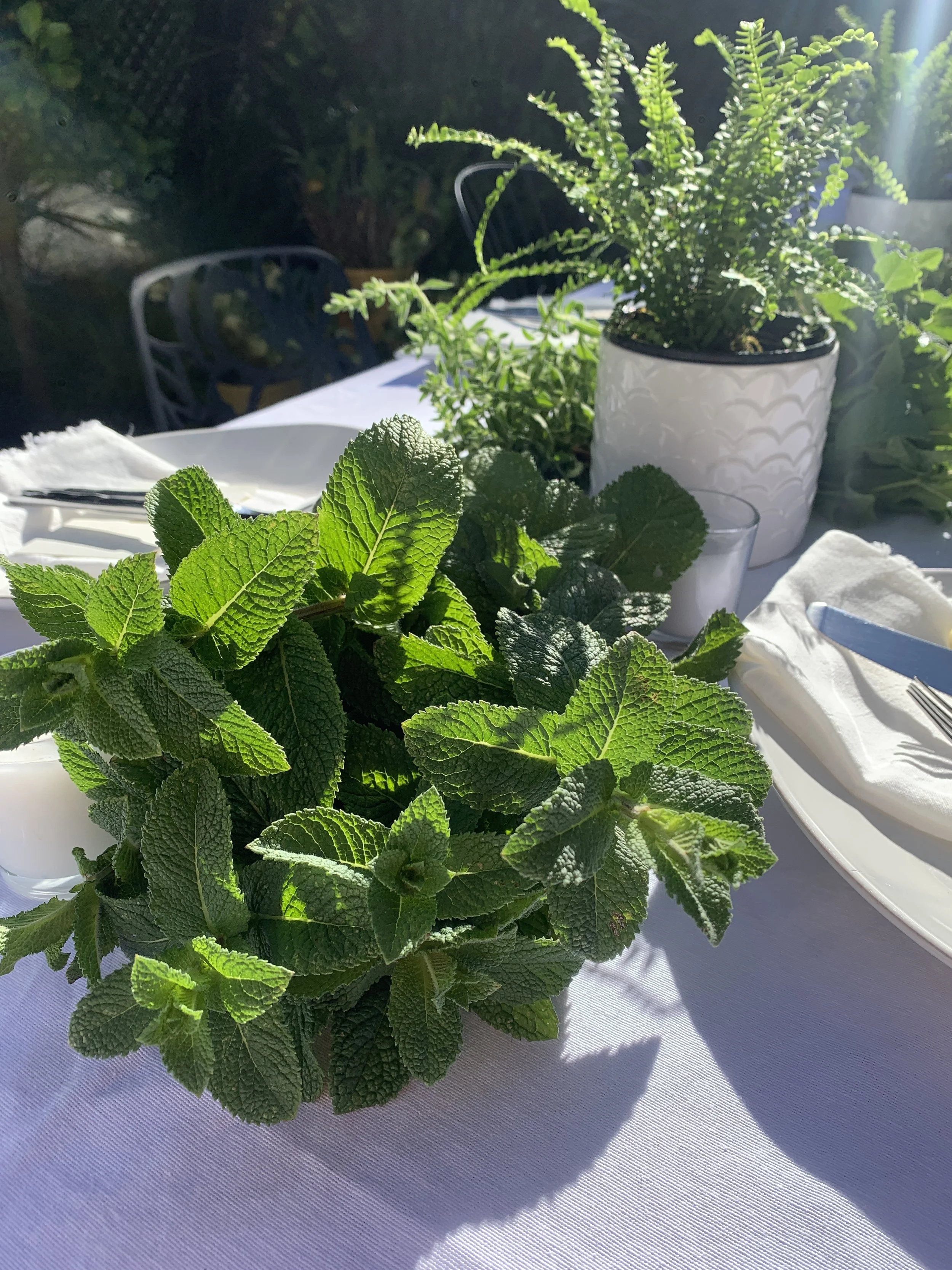 Tablescaping and Guest Gifting from the Garden