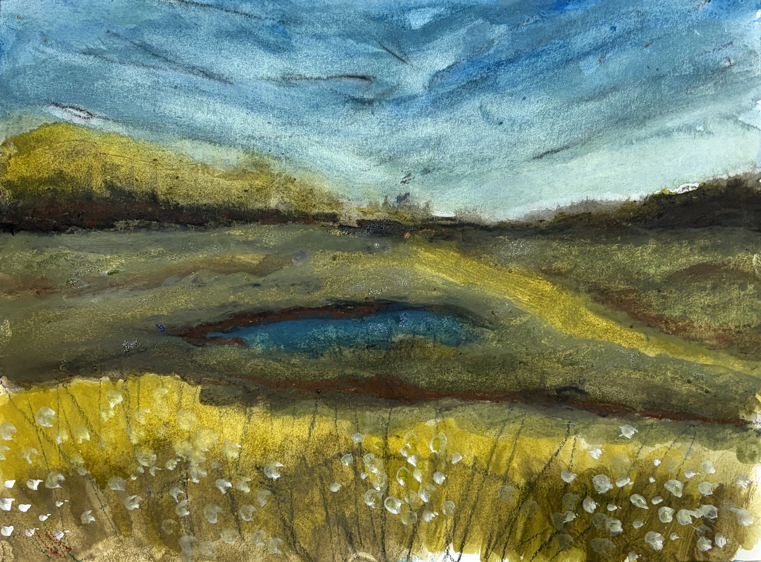Prairie