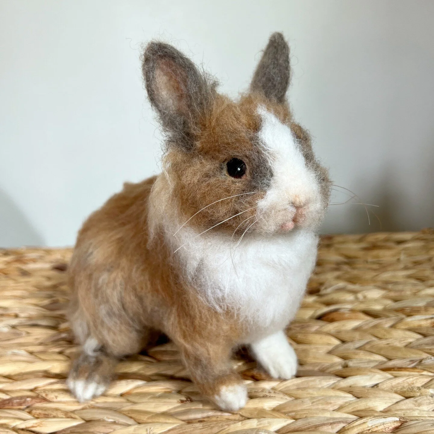 Pet portrait sculpture of Cody the lionhead rabbit 💕
So many different types of wool and fiber went into this little bunny, including some of his own!

#Alpacawool #Silk #Bunnyfluff #Wool #Fiberart #needlefelting #lionhead
