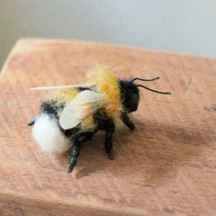 Spring has sprung! 🐝
Psfelting.etsy.com

#spring #etsyshop #bumblebee #bee #Springsale #etsyseller #bzzz