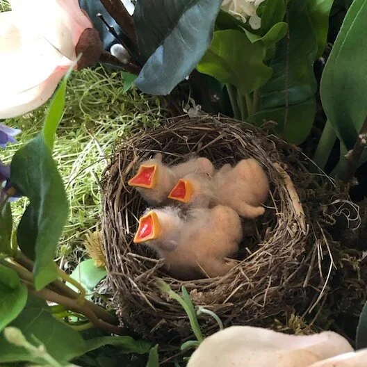 &ldquo;Can you make me three robin chicks?&rdquo;
Of course I can! 😁  Thanks for the kind words! ★★★★★ &quot;These baby birds thrill me every time I look at them. Thank you so much Paige for making them for me.&quot; Kimber S.
