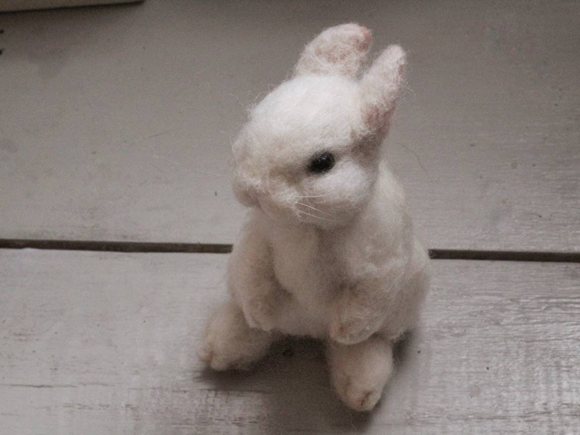 https://i.etsystatic.com/10093651/r/il/772118/2340720759/il_fullxfull.2340720759_f1ls.jpg