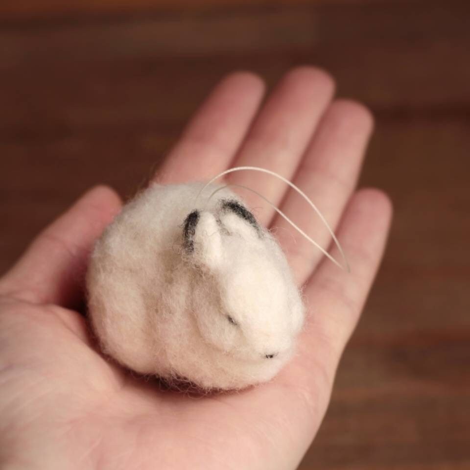 https://i.etsystatic.com/10093651/r/il/a2e4b5/3369085199/il_fullxfull.3369085199_d8sd.jpg