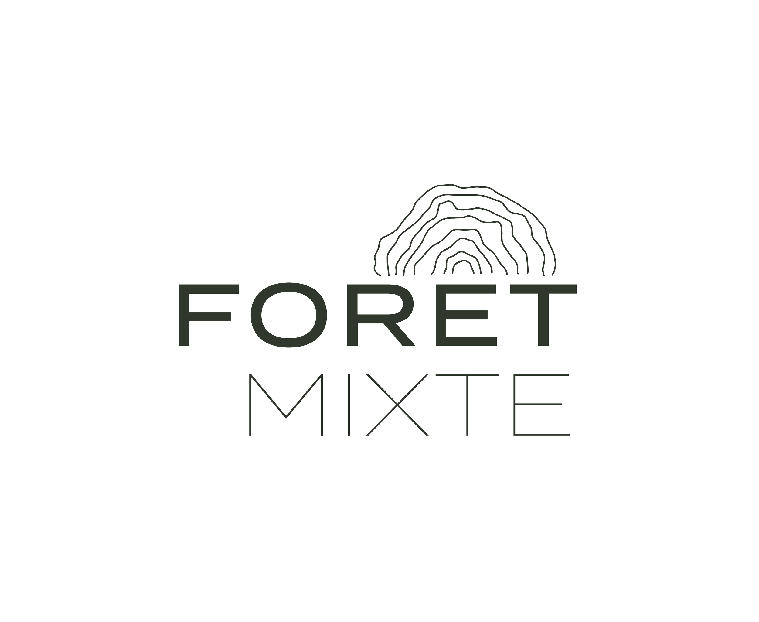 Forêt Mixte : Test, avis et conseils pour jouer.