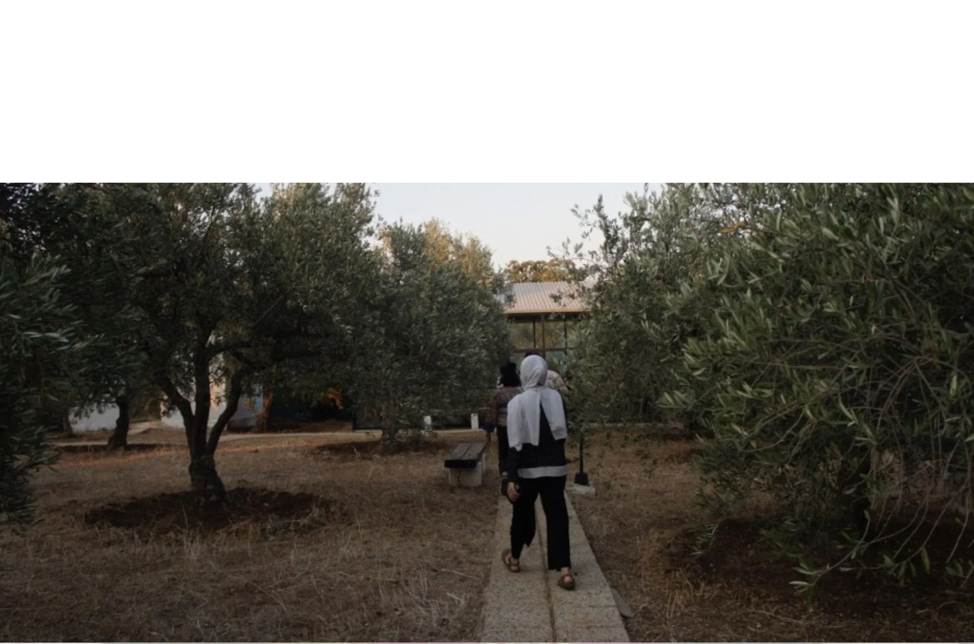 The Mirage of Freedom: Reflecting on Elia Suleiman’s&nbsp;“It Must Be Heaven”