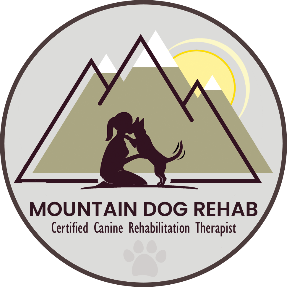Mountain Dog Rehab