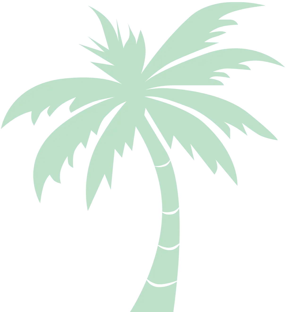 Palm tree