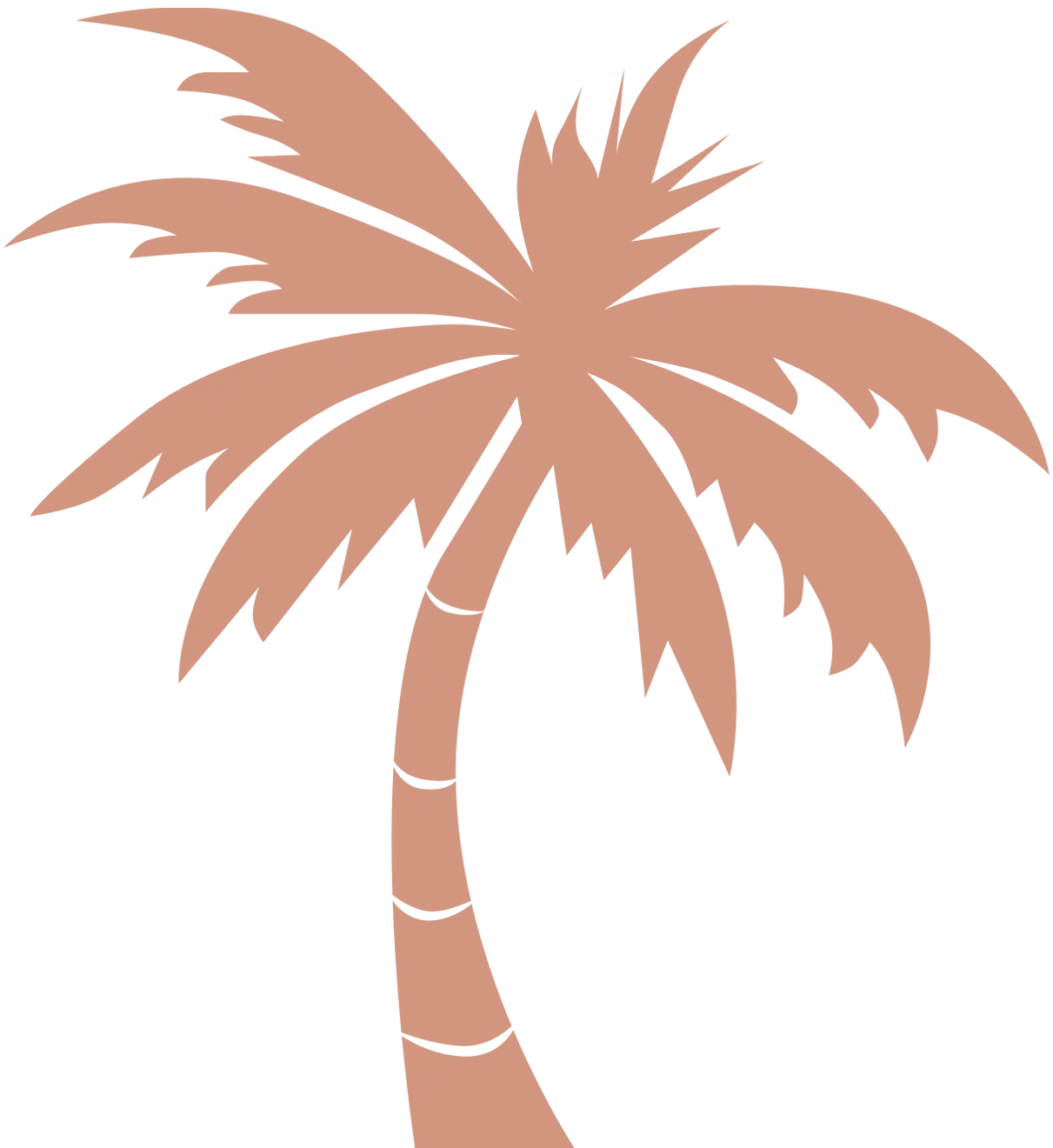 palm tree