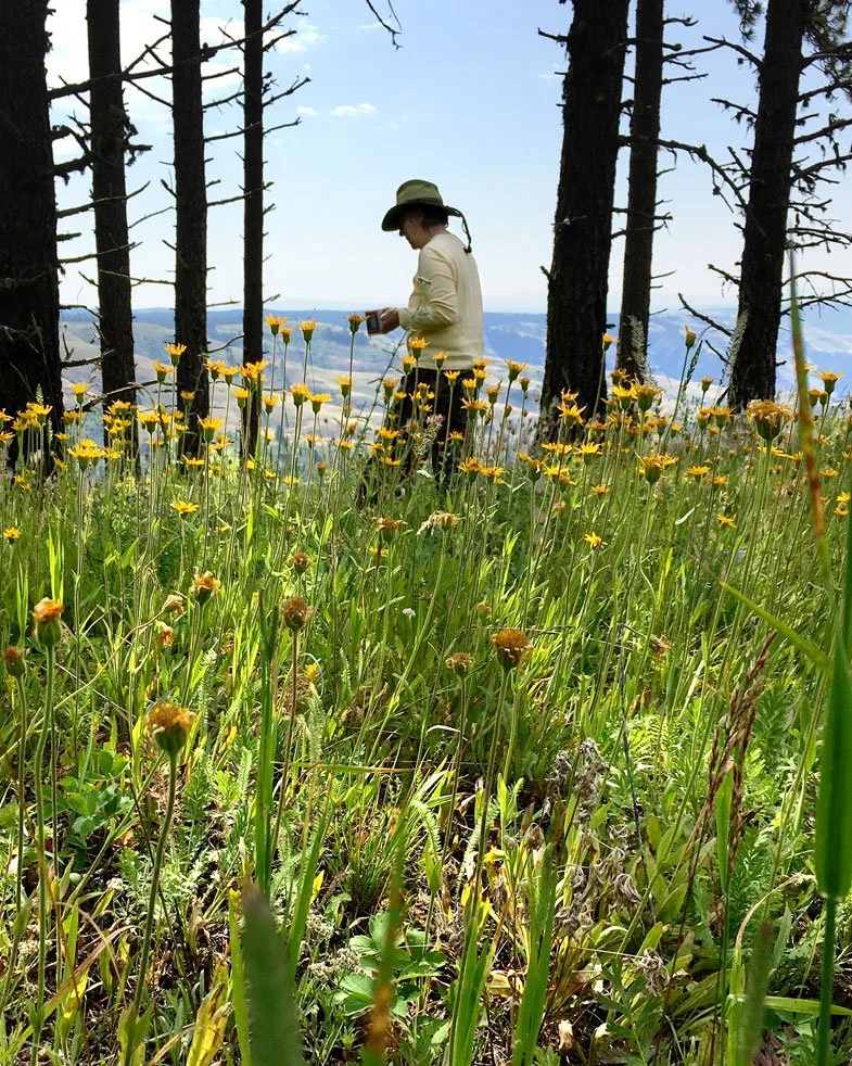 pat-walking-flowers.jpg