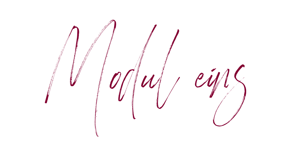 Modul 1.png