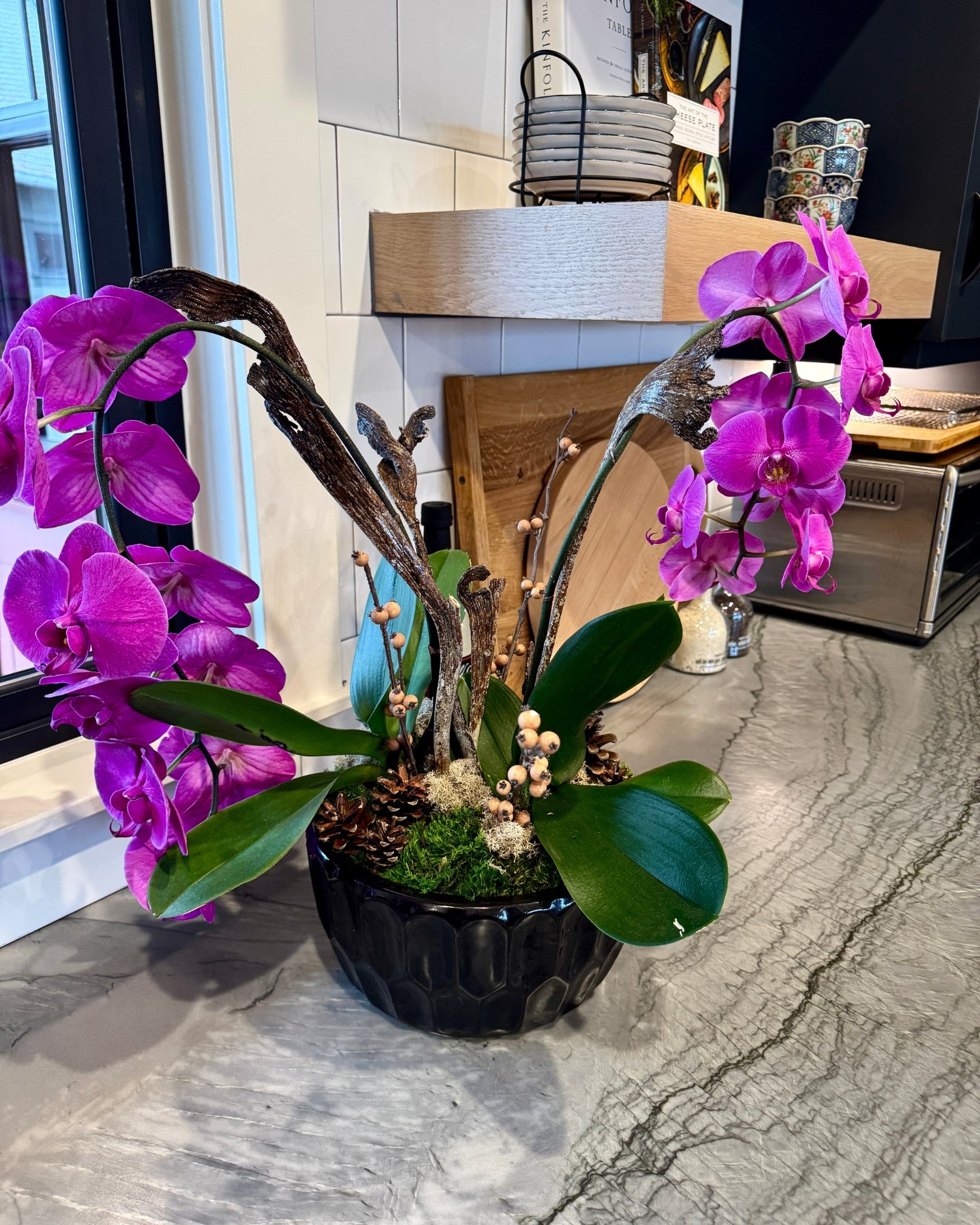 a purple waterfall orchid