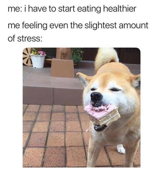 funny-stress-healthier.jpg