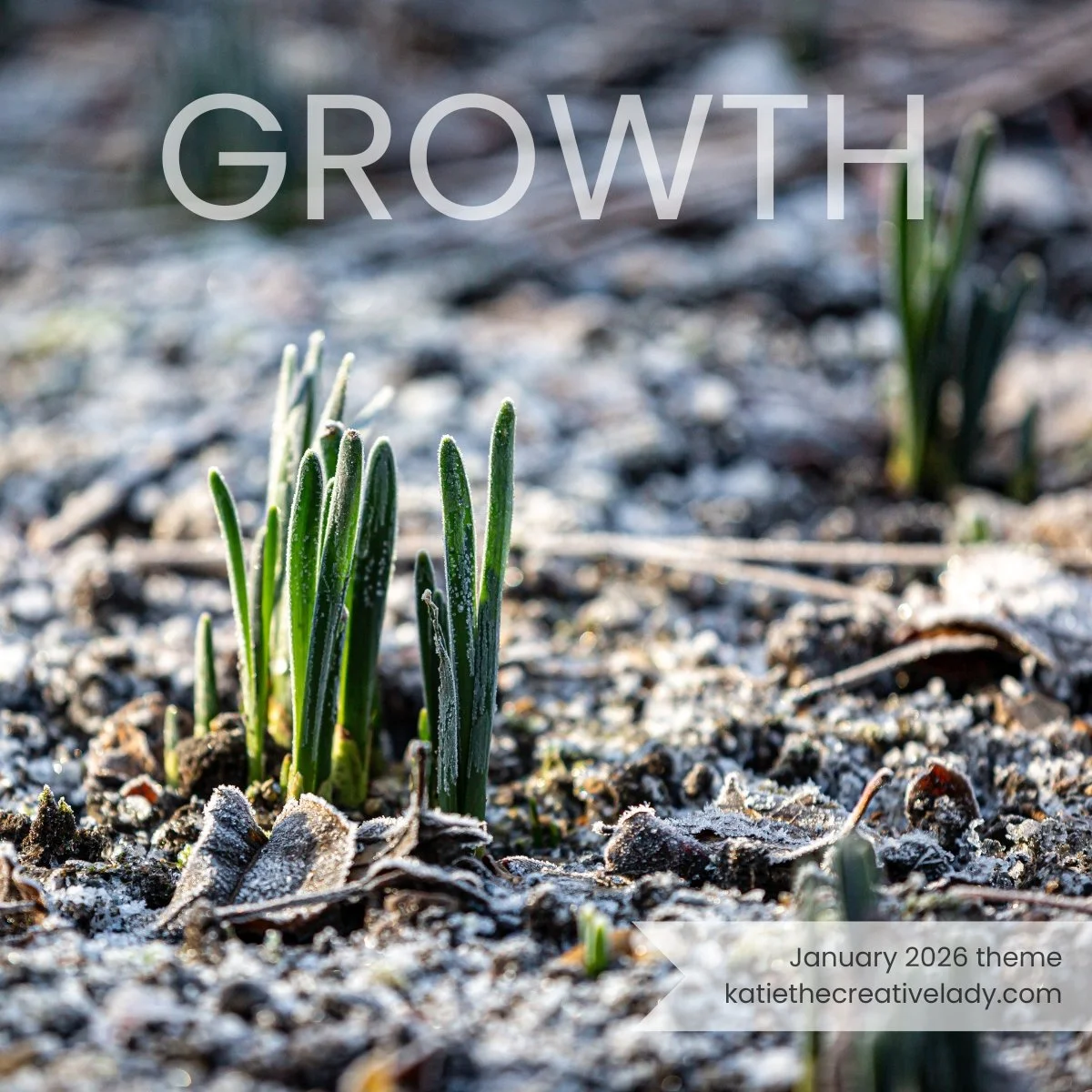 January Focus: Growth