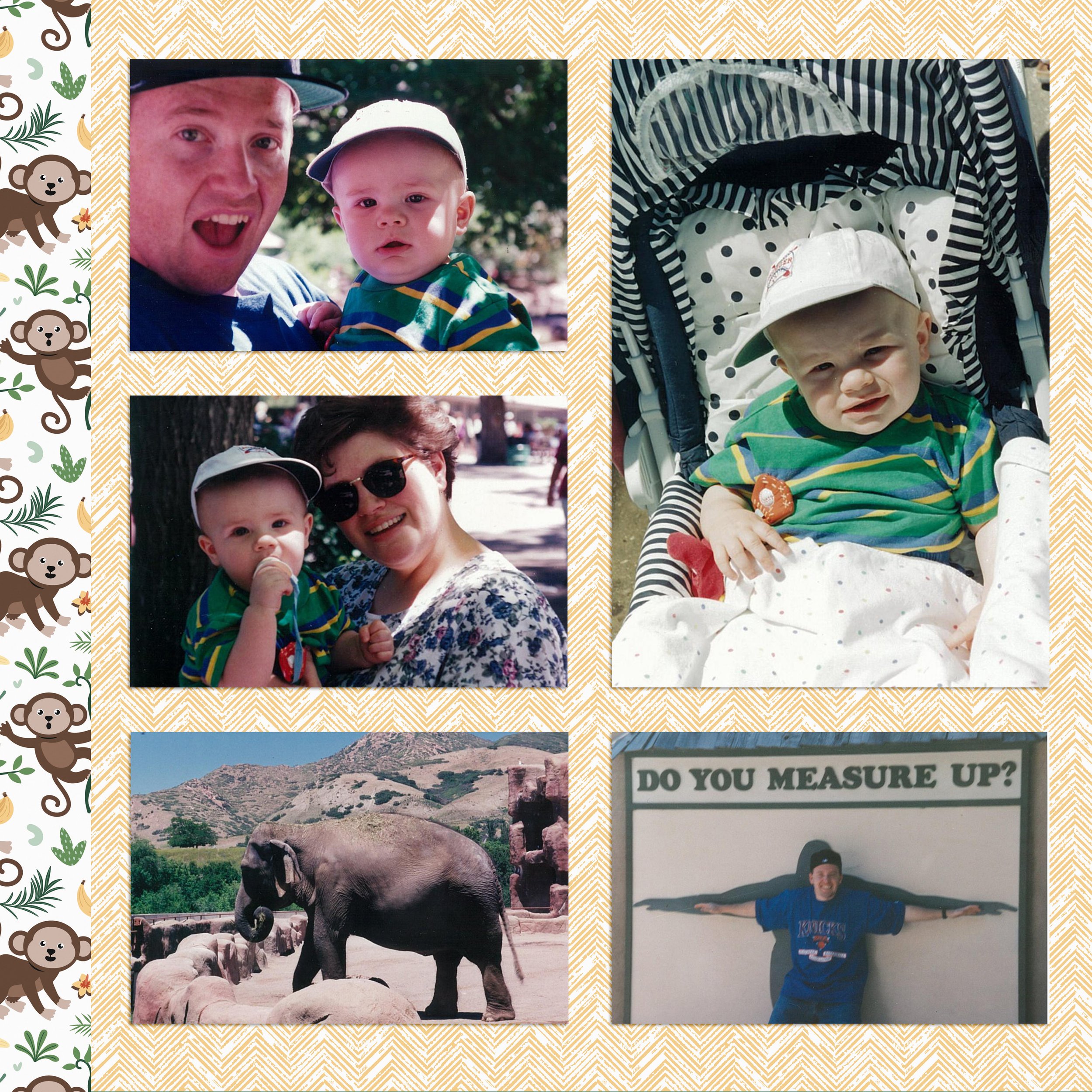 Updated modern scrapbook layout featuring the same zoo photos with cleaner design and patterned paper.