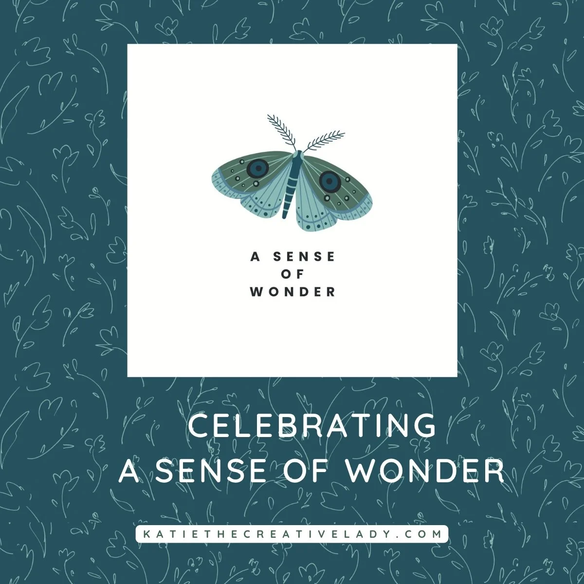 A Sense of Wonder: Noticing the Extraordinary in Everyday Life