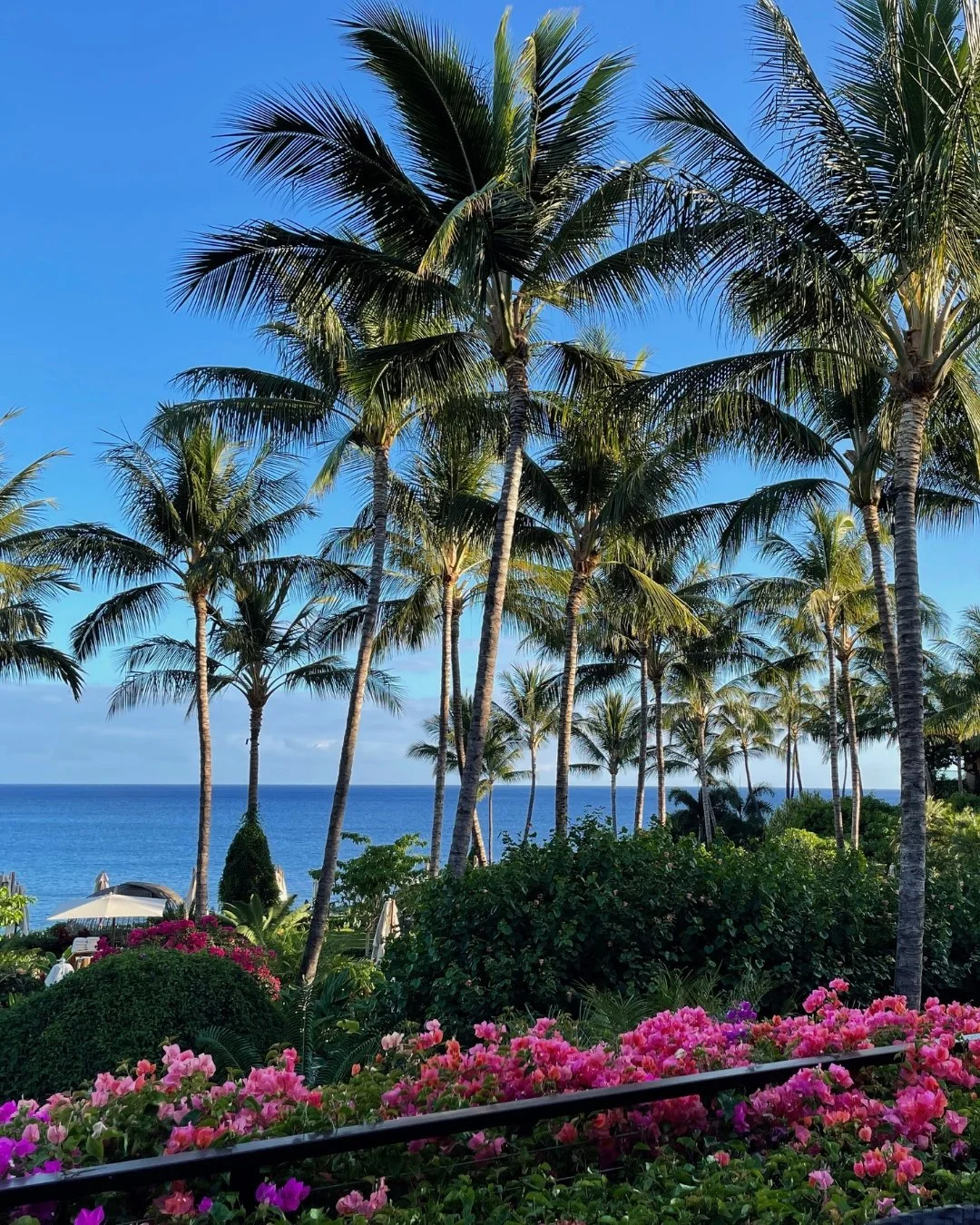 Beautiful tropical ocean view framed by tall palm trees, lush green landscaping, and vibrant pink flowers beneath a clear blue sky