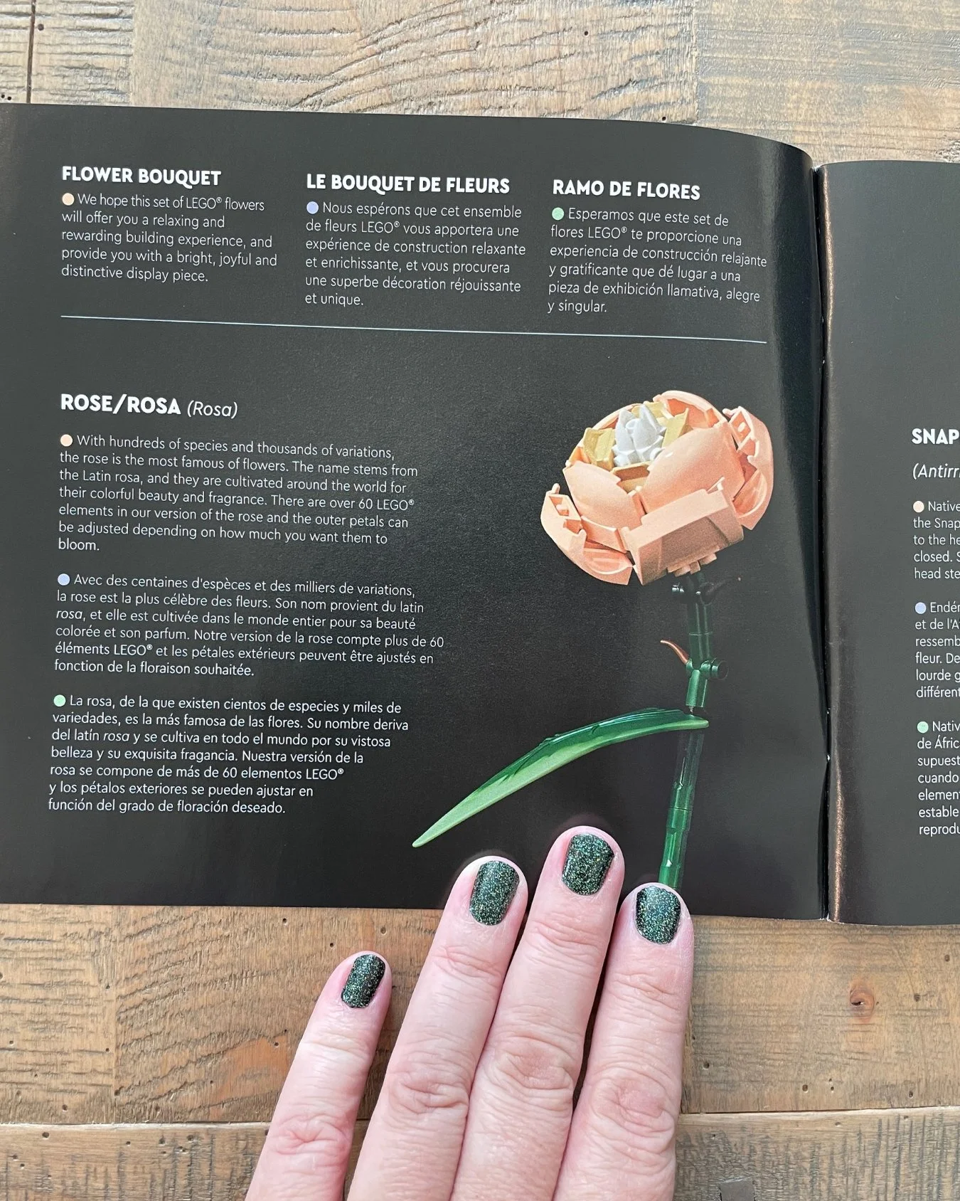 Hand holding open a LEGO Flower Bouquet instruction book showing directions and information about building a LEGO rose.