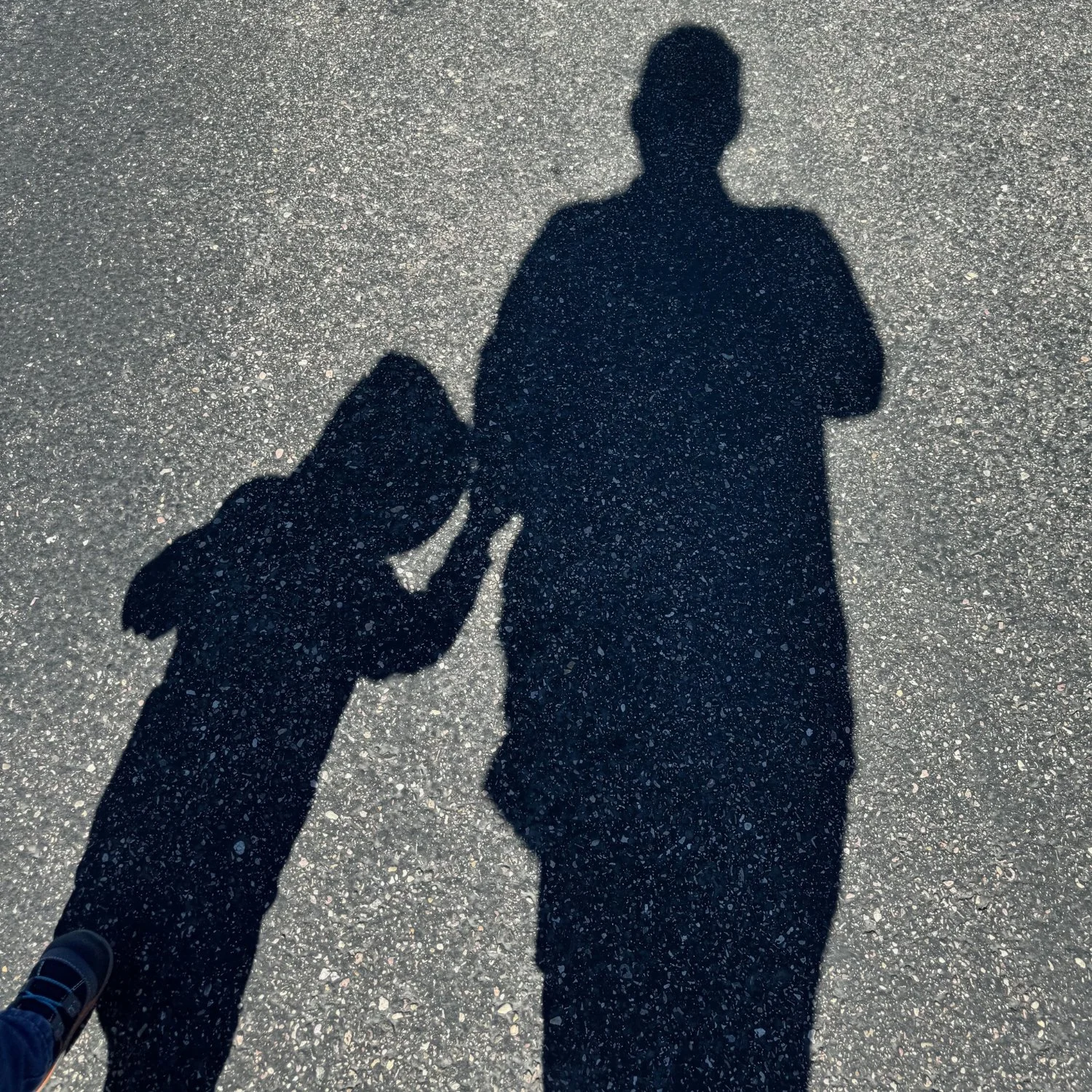 Shadows of an adult and child holding hands while walking together on a sunny day.
